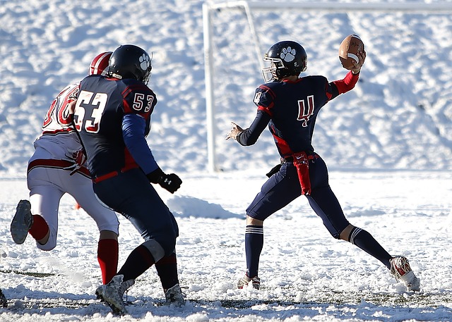 的潜力吸引 的潜力吸引