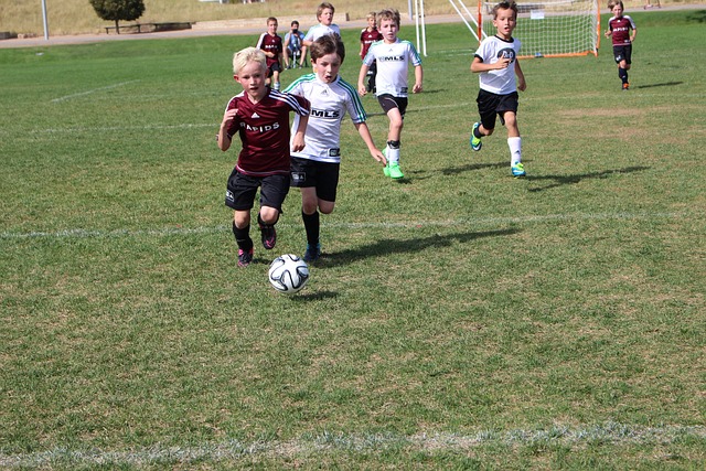 合作的桥梁 合作的桥梁