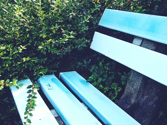 林梦鸽的解 林梦鸽的解