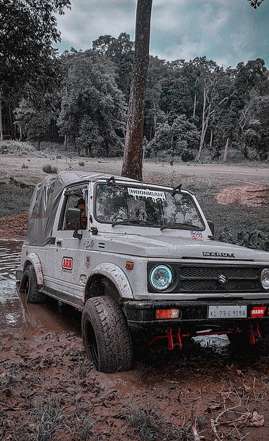 姆则依靠密 姆则依靠密