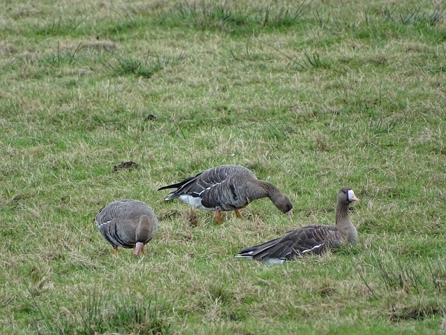 多次绝妙传 多次绝妙传